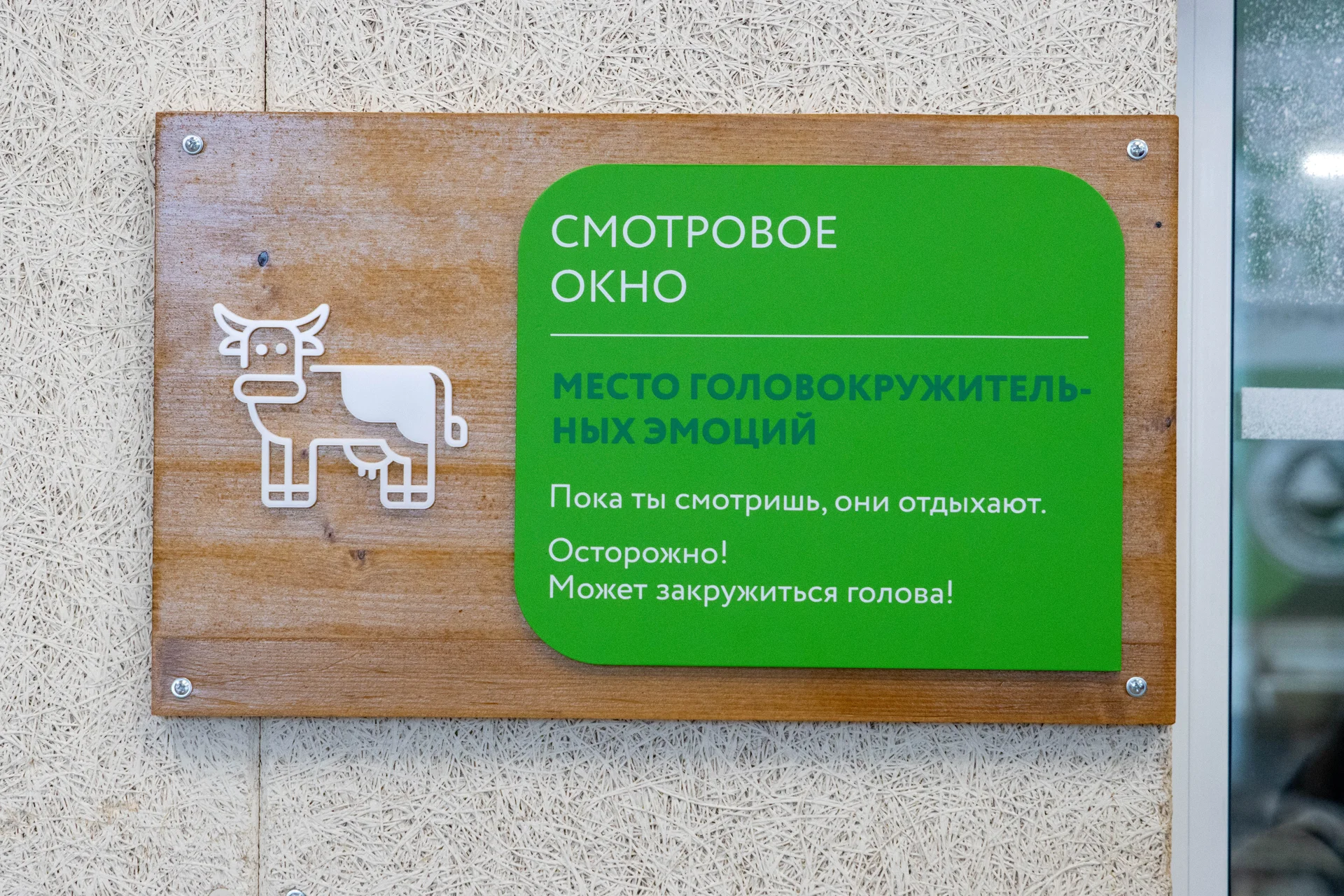 Фотография 20